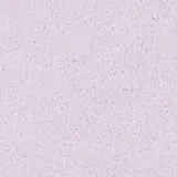 жидкие обои Оптима Г61