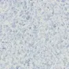 жидкие обои Рельеф Г326