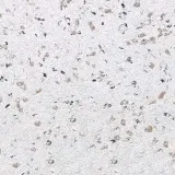 Жидкие обои Макс-Колор 302 Бежевый 0,800 кг