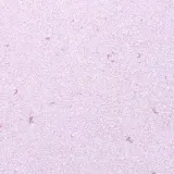 Жидкие обои Макс-Колор 962 Малиновый 0