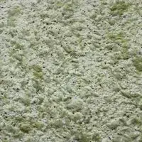 ZHidkie-oboi-Bioplast-415