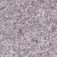 ZHidkie-oboi-Bioplast-8673