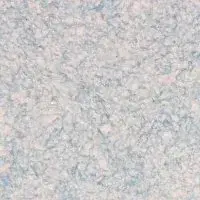 ZHidkie-oboi-Bioplast-8681