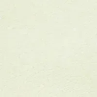 ZHidkie-oboi-Master-Silk-111