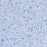 Жидкие обои Poldecor 23-10